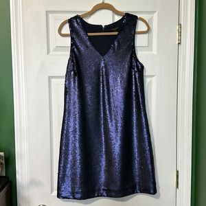 Banana Republic Sequence Dress